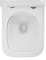 Унитаз подвесной Azario Teramo 490х340х350 безободковый, с быстросъемным сиденьем микролифт (AZ-0052) AZ-0052