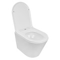 Унитаз подвесной Azario Teramo 515х355х365 безободковый, скрытое крепление, смыв "Торнадо",  в комплекте с сидением микролифт (AZ-0053-UQ3) AZ-0053-UQ3