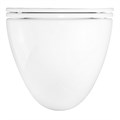 Унитаз подвесной Azario Trevi 495х360х390 безободковый, слив "Скрытое Торнадо", в комплекте с сидением микролифт, белый (AZ-0093UQ3) AZ-0093UQ3