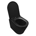 Унитаз подвесной Azario Teramo 515х355х365 безободковый с сиденьем микролифт, черный матовый (AZ -053E-R-MB) AZ -053E-R-MB/ AZ-0053-MB