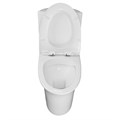 Унитаз моноблок Azario Luna 770x390x710 напольный, горизонтальный слив, сиденье дюропласт микролифт (AZ-1037) AZ-1037