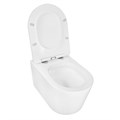 Унитаз подвесной Azario Ollin 360х535х371 безободковый, слив "Торнадо", с быстросъемным сиденьем микролифт (AZ-0513R) AZ-0513R