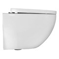Унитаз подвесной Azario ORMI 490х360х365 безободковый, система смыва Торнадо, с быстросъемным сиденьем микролифт (AZ-0253VD) AZ-0253VD