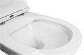 Унитаз подвесной AZARIO Porta 520х360х375 безободковый, быстросъемное сиденье микролифт (AZ-0064) AZ-0064