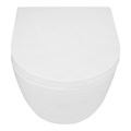 Унитаз подвесной Azario Blanco 360х490х360 безободковый, система слива "Торнадо", быстросъемное сиденье микролифт (AZ-9003WT) AZ-9003WT