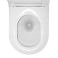 Унитаз подвесной Azario Fora 368х530х410 безободковый, с системой смыва "Скрытое Торнадо", в комплекте с быстросъемным сиденьем микролифт (AZ-0017-UQ3) AZ-0017-UQ3