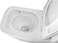 Унитаз-компакт Azario Etéreo 640х370х810 напольный, безободковый, система смыва "Скрытое Торнадо", с быстросъемным сиденьем микролифт (AZ-8203) AZ-8203