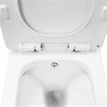 Унитаз подвесной Azario Nove 350х520х365 безободковый, c функцией биде, в комплекте быстросъемное сиденье микролифт (AZ-9321B) AZ-9321B