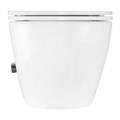 Унитаз подвесной Azario Grado 365х495х365 безободковый, с функцией биде, с быстросъемным сиденьем микролифт (AZ-046E-NR) AZ-046E-NR