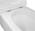 Унитаз подвесной Azario TERSO 495x360x370 безободковый, слив "Скрытое Торнадо" с быстросъемным сиденьем "Микролифт" (AZ-092E-UQ3) AZ-092E-UQ3