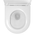 Унитаз подвесной Azario TERSO 495x360x370 безободковый, слив "Скрытое Торнадо" с быстросъемным сиденьем "Микролифт" (AZ-092E-UQ3) AZ-092E-UQ3
