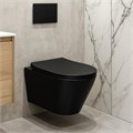Унитаз подвесной Azario VELA 360х480х360 безободковый, система смыва "Торнадо", с быстросъемным сиденьем "Микролифт", черный матовый (AZ-2480MB) AZ-2480MB