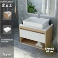 Тумба подвесная с раковиной для ванной 65 см Teymi Ritta корпус дуб фасад белый раковина Aina 56 F03346 1211569