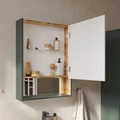 Шкаф зеркальный EQUIL Gleam 60, подвесной, 1 дв., зеленый камень/дуб вотан (szGLEAM.LED.60.1D-34) szGLEAM.LED.60.1D-34