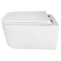 Унитаз подвесной Azario VATER 360х520х350 безободковый, система смыва "Скрытое Торнадо", с быстросъемным сиденьем "Микролифт" (AZ-5104T-WHT) AZ-5104T-WHT