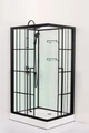 CS-3008TM/W-120L Душ. Кабина 1200x800x2150 поддон 14 см CS-3008TM/W-120L
