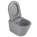 Унитаз ABBER Bequem AC1102MG подвесной серый матовый, безободковый AC1102MG