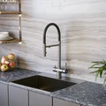 Смеситель для кухонной мойки DQ с фильтром сатин (DA1462504Satin) DA1462504Satin