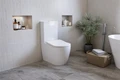 Унитаз-компакт безободковый (торнадо) DQ Munchen 675*390*860мм (DT1567516) DT1567516