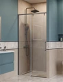 SOFT_CLOSE-1-BF-1-100-C-GM Душевая дверь SOFT_CLOSE-1-BF-1-100-C-GM