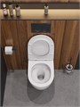 STYLUS-TOR 2.0 Унитаз подвесной безободковый со смывом "Торнадо" с сиденьем дюропласт soft close CZR-546-TH-TOR/SC CZR-546-TH-TOR/SC