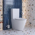 Унитаз-компакт безободковый с сиденьем и  смывом TORNADO BelBagno FLAY-TOR BB2149CP-TOR/SC 0231911044