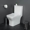 NEON Унитаз-моноблок с сиденьем дюропласт soft close, P-trap BB8617CPR-MN/SC BB8617CPR-MN/SC