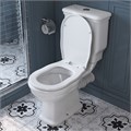 Унитаз-компакт безободковый BelBagno BOHEME BB115CPR 989415024