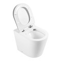 Унитаз приставной безободковый BelBagno FLAY-R BB1003CBR 01717392830