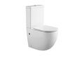 Унитаз-компакт напольный с бачком Aquatek ЕВРОПА AQ2903-00 с сиденьем Soft Close AQ2903-00