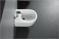 AQ1016-00 ЕВРОПА Биде подвесное 510*355*310 AQ1016-00