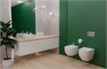 AQ1016-00 ЕВРОПА Биде подвесное 510*355*310 AQ1016-00