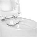 (рама AQUATEK INS-0000025 +крепление KKI-0000002 +кнопка KDI-0000066 +унитаз AQ1980-00 +тонкое сиденье с механиз) SET AQUATEK АЛЬТАИР cm-066 4в1