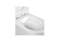 (рама AQUATEK Standard INS-0000012 с клавишей KDI-0000018 и крепежом KKI-0000002+унитаз AQ1901-00 с тонким сиденьем sc) SET AQUATEK ЕВРОПА-018 4в1