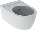 iCon Унитаз подвесной без ободка, Rimfree, 6л, 530 мм 204060000