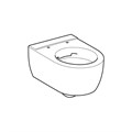 iCon Унитаз подвесной без ободка, Rimfree, 6л, 530 мм 204060000