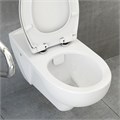 Conforma подвесной безободковый унитаз с сиденьем для людей с ограниченными возможностями 5810B003-6234