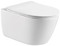 AQ1363W-00 ОБЕРОН Унитаз подвесной безободковый 531*360*344мм,  тонкое сиденье с механизмом плавного закрывания, крепеж AQ1363W-00