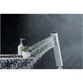 ЛИБРА Set 3 в 1 душевой комплект 2 режима AQ1672CR
