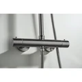 ЕВРОПА термостатическая душевая система (смеситель для душа) 220мм, оружейная сталь AQ2343BGM