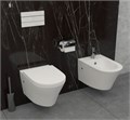 EDY102-00 "RODIN+" Унитаз подвесной безободковый, белый EDY102-00