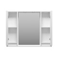 BALATON -100 Зеркало-шкаф, белый BAL-04100-01-011