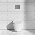 OLEAS™ M1 Механическая панель смыва, хром R0115AA