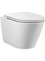 (рама AQUATEK Standard INS-0000012+ крепёж KKI-0000002+ кнопка KDI-0000061+Унитаз-компакт подвесной AQ1904T-00 TORNADO SET AQUATEK ВЕГА T/KDI-061