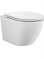 (рама AQUATEK Standard INS-0000012 с клавишей KDI-0000014 и крепежом KKI-0000002+унитаз AQ1900T-00 с тонким сиденьем sc) SET AQUATEK ЕВРОПА T KDI14