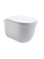 Set AQUATEK КЛАССИК (рама AQUATEK Standard INS-0000012 с звукоиз.прокладкой+крепеж KKI-0000002+кнопкаKDI-0000017+унитаз КЛАССИК AQ1111-00 с крышкой SET AQUATEK КЛАССИК-017 4в1