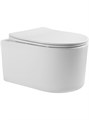 (рама AQUATEK Standard INS-0000017(без клавиши и крепежа)+унитаз МИЯ AQ2004T-00 с тонким сиденьем soft-close SET AQUATEK МИЯ Т/INS017