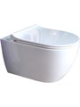 SET AQUATEK ПОЛАРИС (рама AQUATEK Standard INS-0000012+унитаз ПОЛАРИС AQ0700-01 с тонким сиденьем soft-close+ крепеж KKI-0000002 +панель KDI-0000033) SET AQUATEK ПОЛАРИС-01-033 4в1