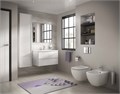 T007901 TESI AquaBlade® Подвесной унитаз,  без сиденья и крышки,с крепежом (для полностью скрытого монтажа) T007901