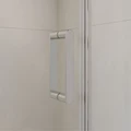 Душевая дверь RGW LE-009 (LE-004 + Z-09+профиль A-14) (Прозрачное, 1300) 351200903-11